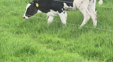 Two Factor Verification on the Farm