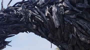 Driftwood Dragon Sculpture