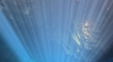 Freediver Swims Through Bubble Rings