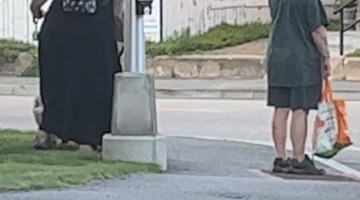 Woman Spotted Walking Her Pet Pig