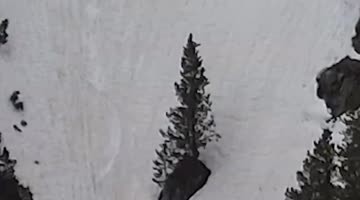 Spring Snowboarding With My Dog
