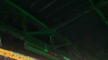 Dog Drinks From Cooler In Club