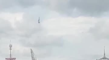 Collective Rescue of a Bird With a Wing Stuck on a Fishing Line