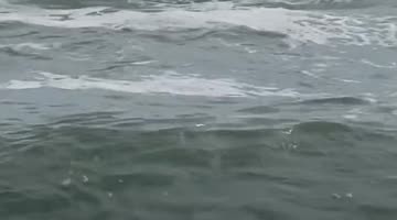 Fisherman Chases Catch Into the Ocean