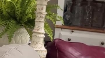 Exhausted Family Falls Asleep While Watching Toddler