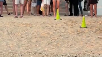 Audience Watches Sleepy Hawaiian Monk Seal Wake Up From a Nap
