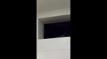 Cat Stares Menacingly From Window Sill