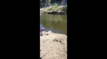 Young Fisherman Gets a Unique Catch