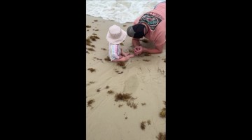 That's Enough Ocean for Today