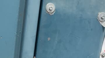 Golden Retriever Opens the Door for Delivery Man