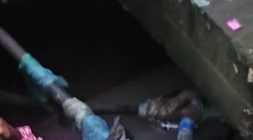 Dogs Rescued from a Drain
