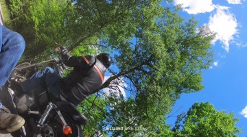 Tree Falls Right in Front of Motorcycle Rider