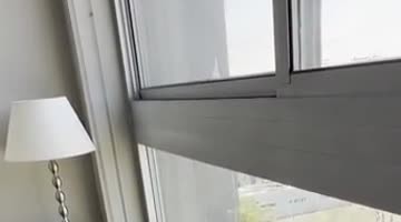 Sheltie's Nemesis, the Window-Washing Broom