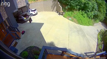 Family Finds Bear Cubs Inside SUV