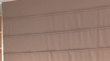 Clumsy Cat's Failed Jump