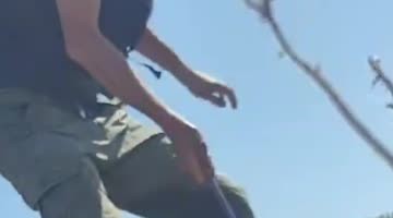 Rescuing a foal from a deep hole