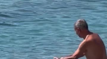 Dachshund Goes Surfing