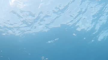 Mermaiding Around