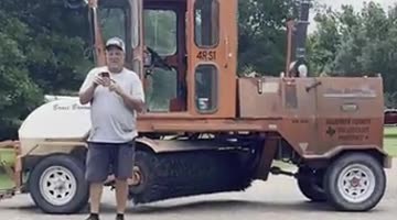Pig Rolls Around on Freshly Laid Tar