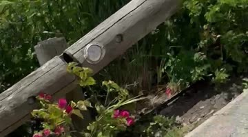 Pilot Makes Tricky Landing on Short Runway at St. Barts Airport