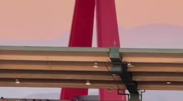 Crowd at Angel Baseball Game