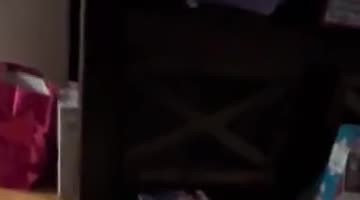 Tucker Has a Unique Way of Playing With His Balloon