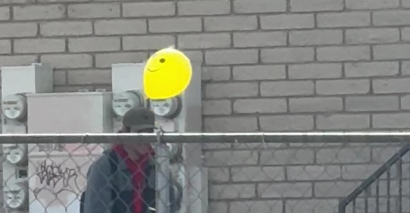 Neighbor Dog Plays With Smiling Balloon