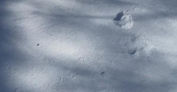 Snow Tubing Fail Flips Toy Tractor And Hits Fence