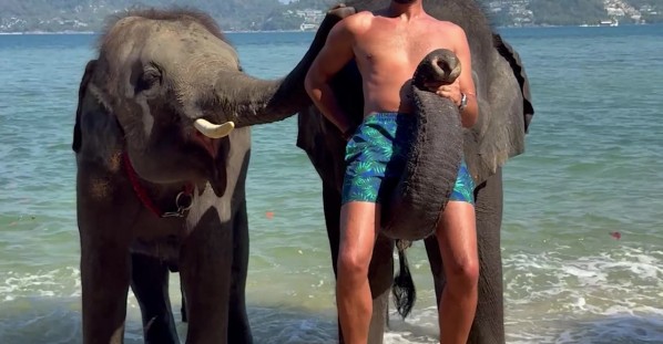 Elephant Uses Trunk To Lift Man