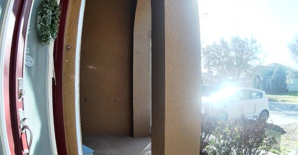 Alligator Strolling Up to Front Porch