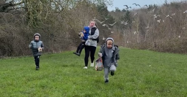 Feeding the Ducks Gone Wrong