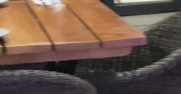 Kangaroo Trying to Skip the Restaurant Guest List