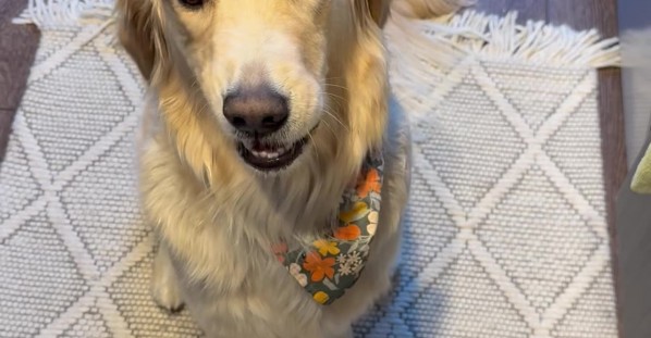 She’s Caught Onto My Tricks