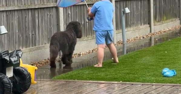 Little Boy Keeps His Dog Dry in the Rain