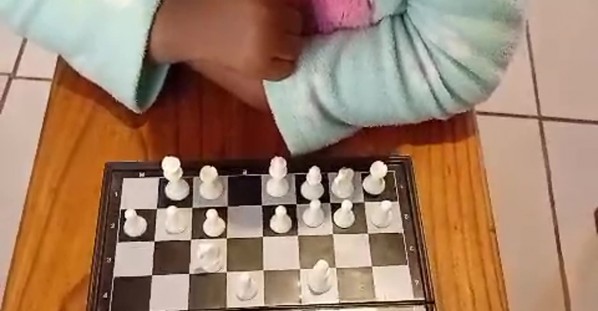The Ultimate Chess Player