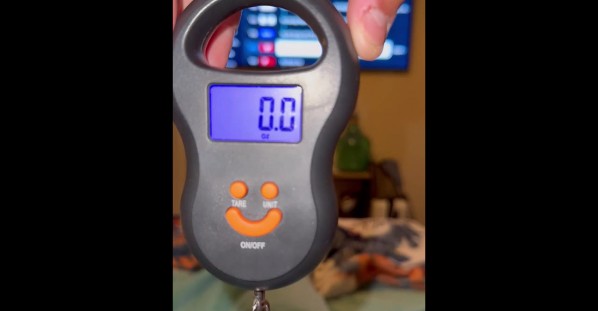 Weighing New Born Kitten