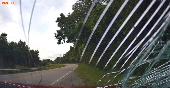 Tree Falls Right in Front of Moving Vehicle