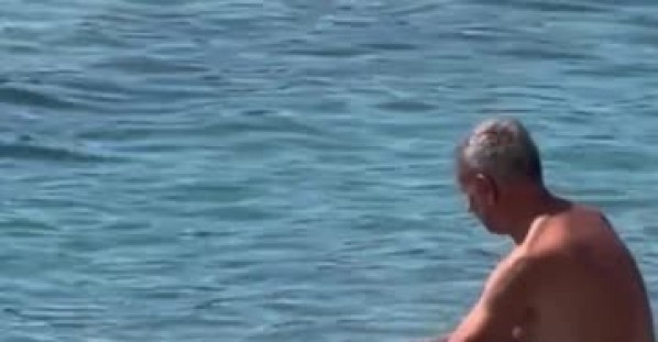 Dachshund Goes Surfing