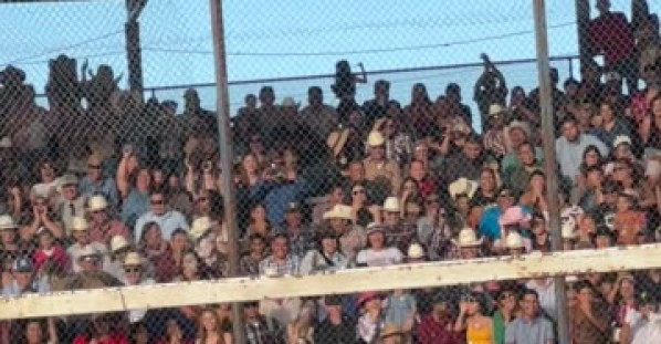 Rodeo Tug of War