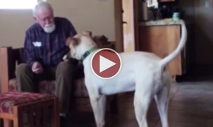 Watch A Man With Alzheimers Have The Most Heart Breaking Conversation With His Dog