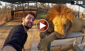 Watch This Awesome 3 Year Selfie Of A Guy Who Traveled Around The World