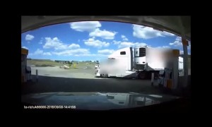 Dog Rescued By A Police Officer After Being Tied To A Moving Truck