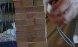 Amazing Jenga Skills