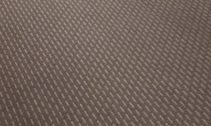 Cruising Parrot on RC Truck