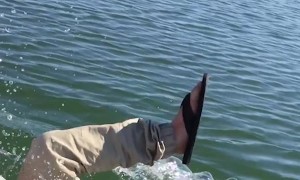 Funniest Fishing FAILS