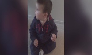 Baby Can't Stop Dancing When Mom Turns on Hairdryer