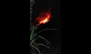 Footage shows incandescent eruption of lava from Indonesia volcano overnight