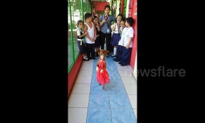 Dog walking on its hind legs amazes school children