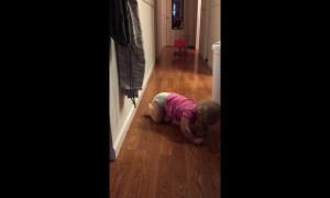 Tears before bedtime: toddler's attempt at fistbump fails spectacularly