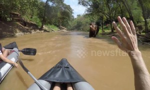 Elephant calmly continues shower as rafters drift past